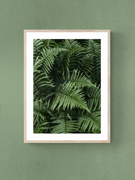 fern print, greens, folly green